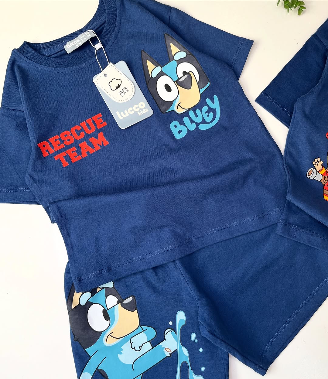 Blue Bluey Kids Set