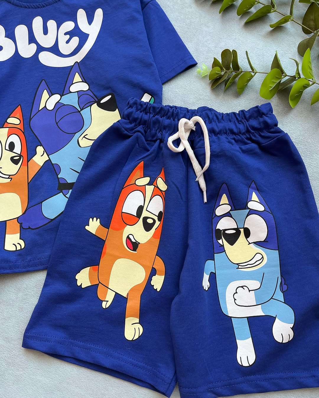 Bluey Kids Set