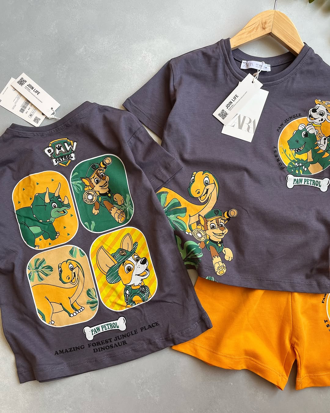 Grey Paw Patrol Kids Set