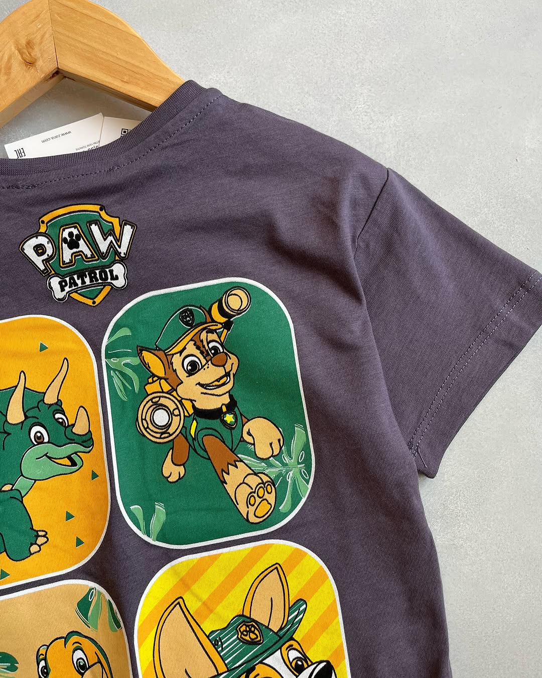 Grey Paw Patrol Kids Set