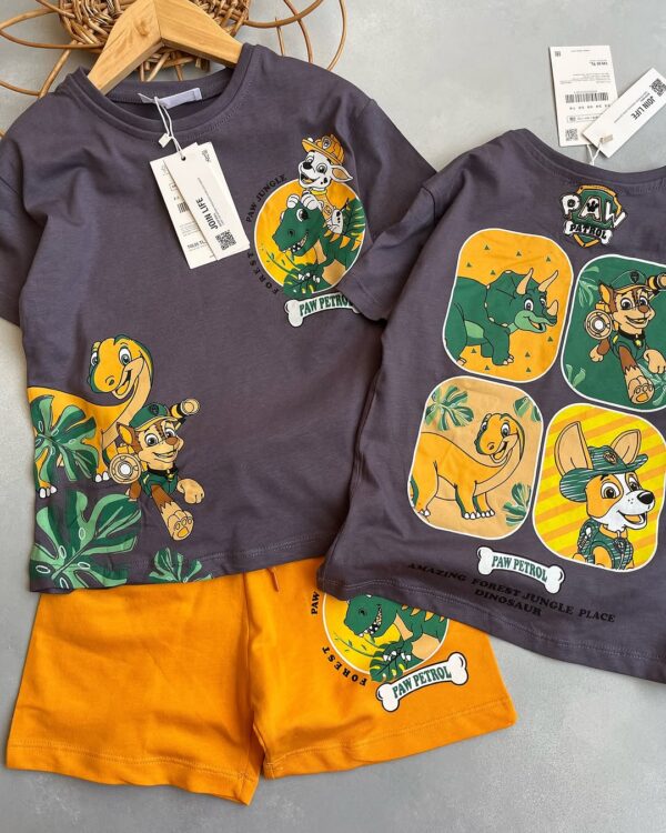 Grey Paw Patrol Kids Set